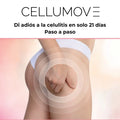 Libro electrónico: "Despídete de la celulitis en solo 21 días: paso a paso"